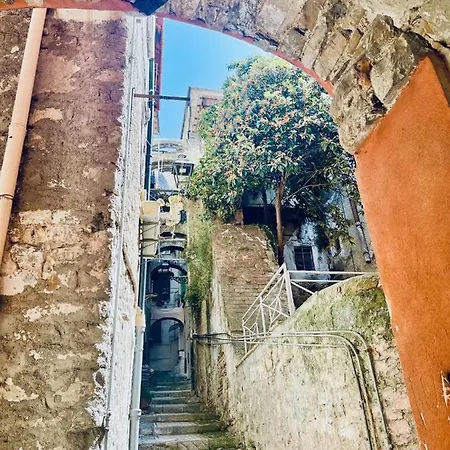 Pigna Tommy House Apartmán