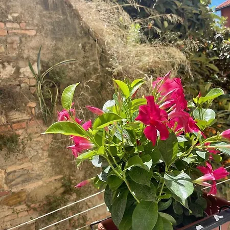 Apartamento Pigna Tommy House