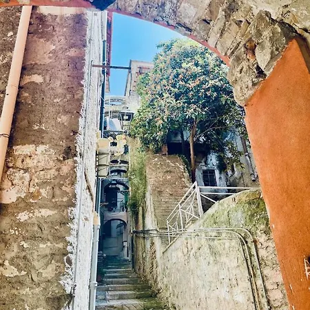 Pigna Tommy House Appartement
